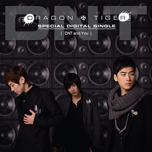 Dragon N Tiger