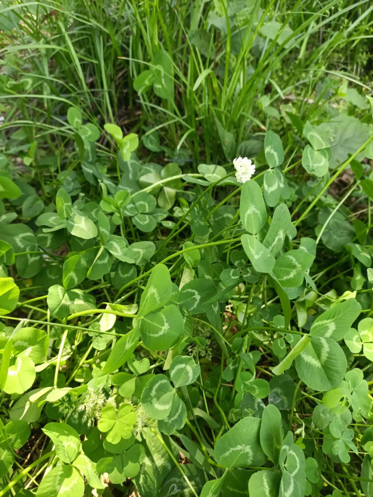 src=http___safe-img.xhscdn.com_bw1_a694c3d1-8f32-41b0-8968-d15491fe85c7_imageView2_2_w_1080_format_jpg&refer=http___safe-img.png