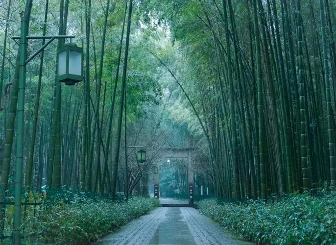 西湖