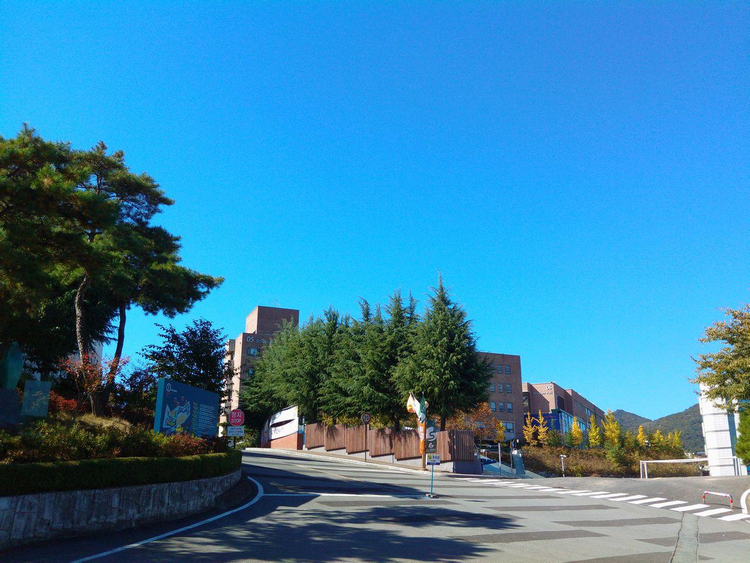 瑚山大学