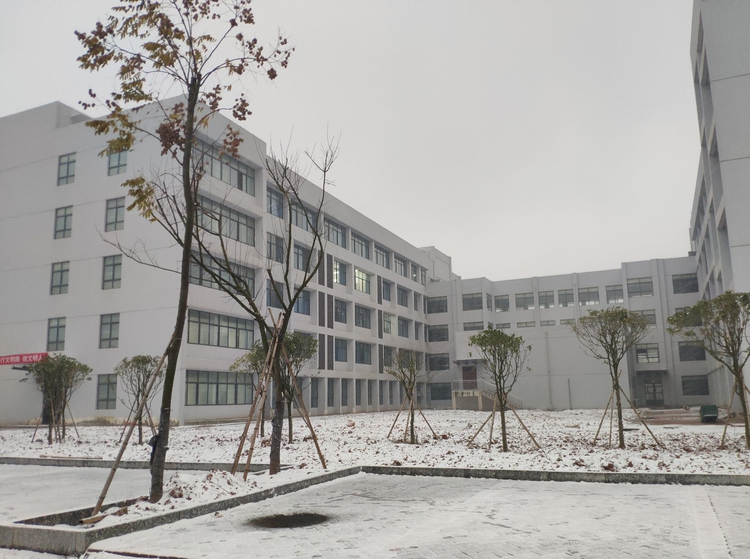 校园雪景.jpeg