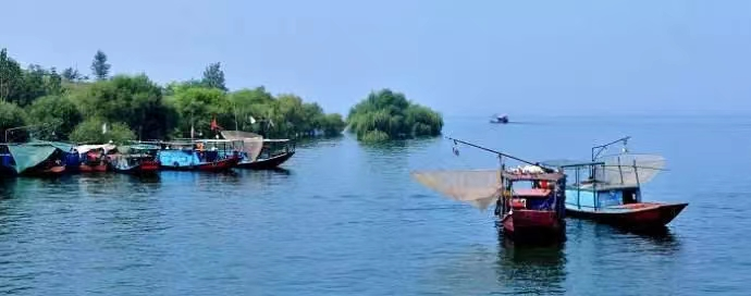 射阳县