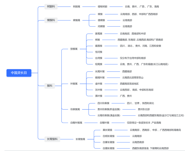 灵长目
