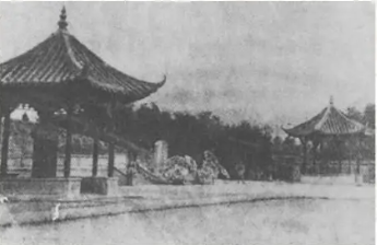 墓地.png