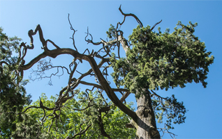 南五台风景名胜区