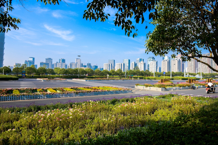 郑东新区