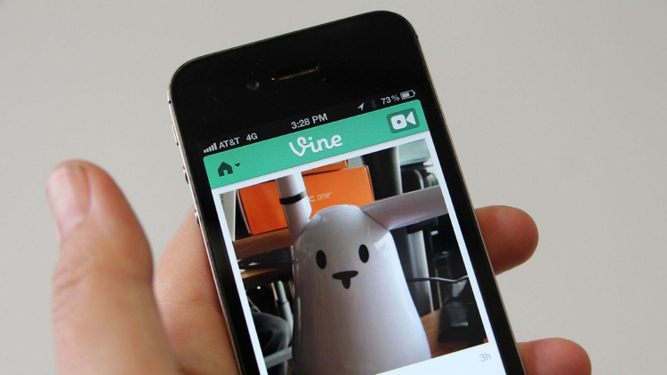 vine