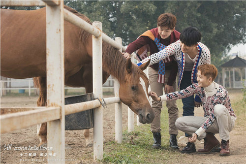 十二星宿风之少年