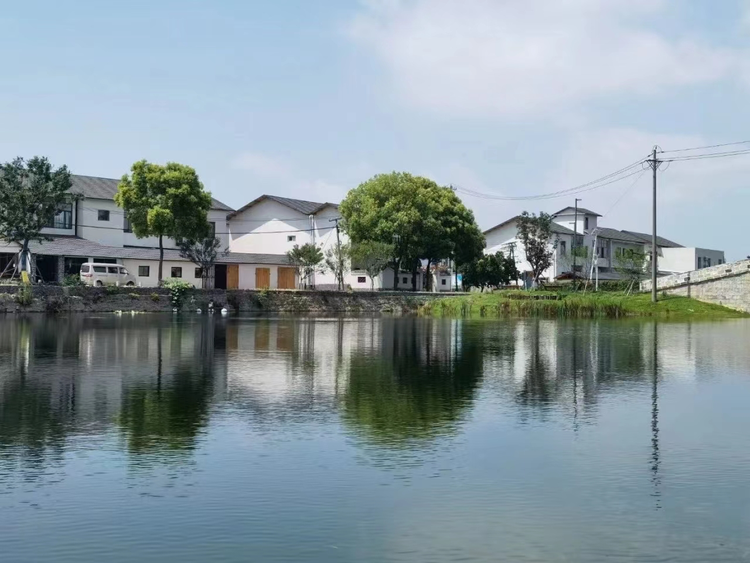 东西湖区