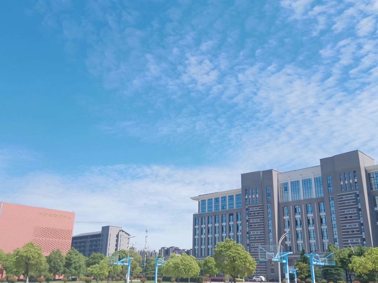 铜陵学院