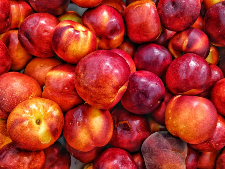 nectarine_edible_fruit_fruit.jpg