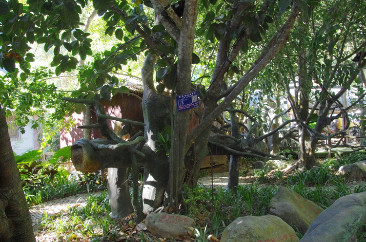 西双版纳傣族自治州