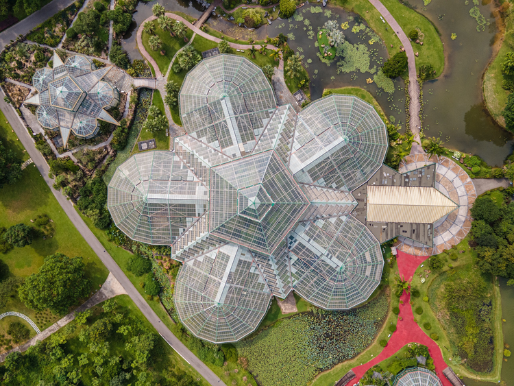 中国科学院华南植物园