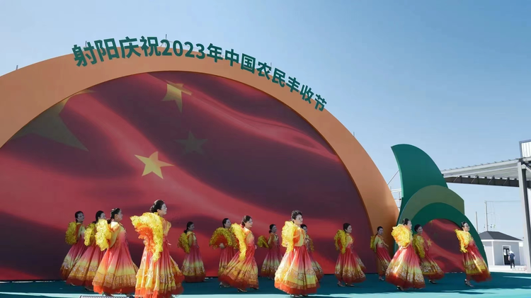 射阳县
