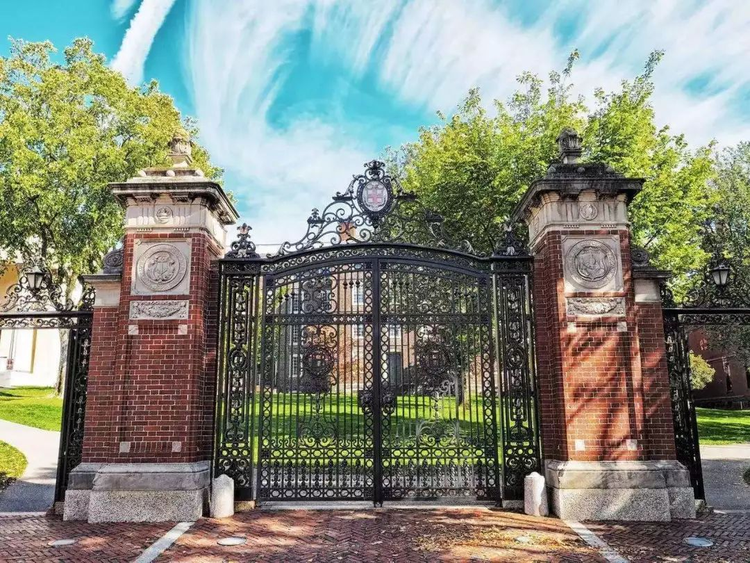 布朗大学