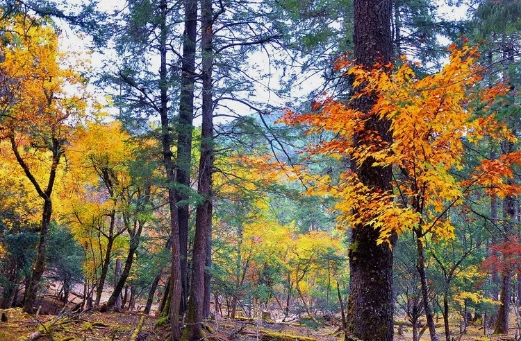 怒江傈僳族自治州
