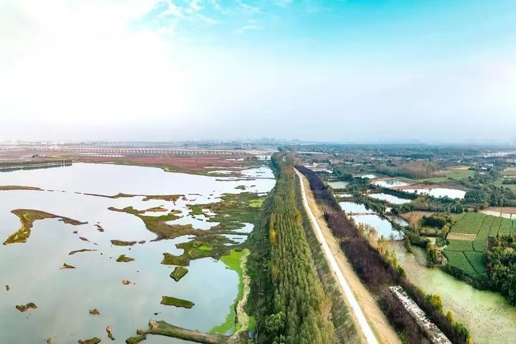 东西湖区