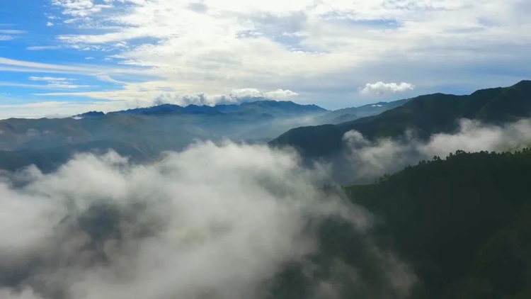 哈思山自然保护区.jpeg