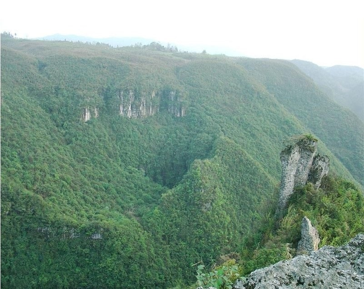仙女山国家森林公园