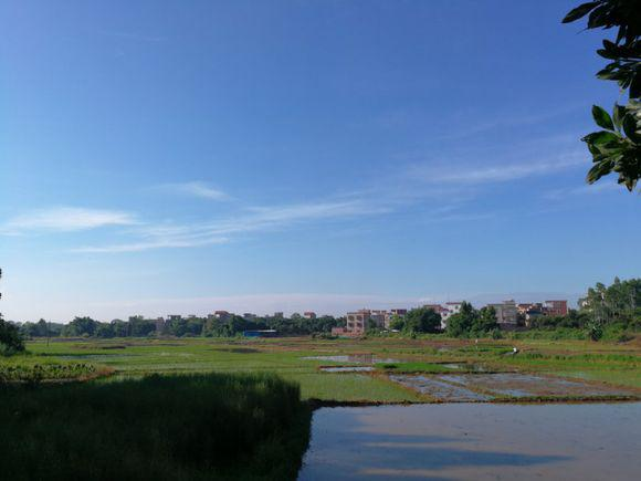 横山村