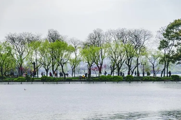 西湖