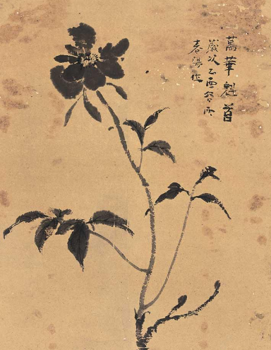 霍春阳