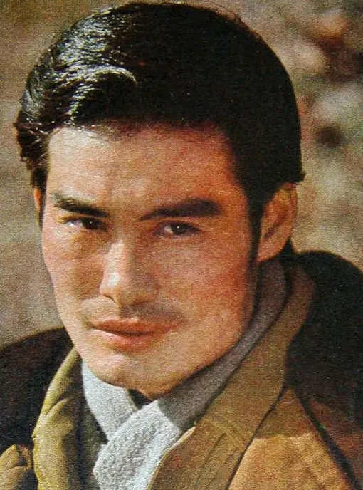 远东特遣队之飞龙行动