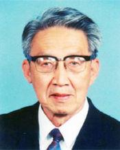 陈国平