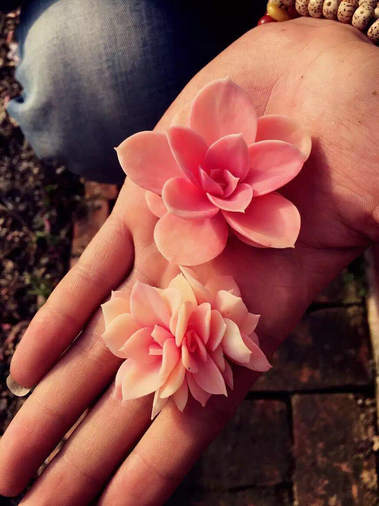 彩虹