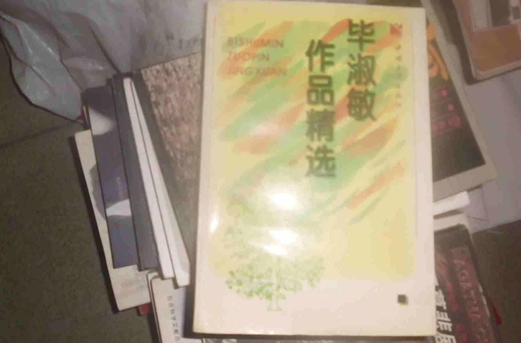 毕淑敏作品精选