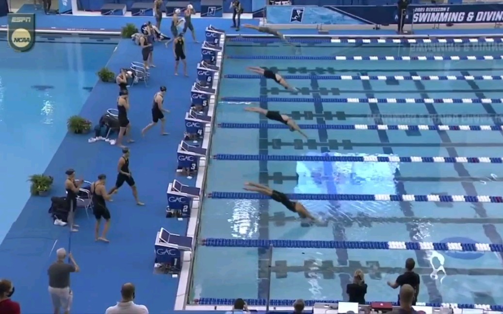 2021年短池游泳世锦赛