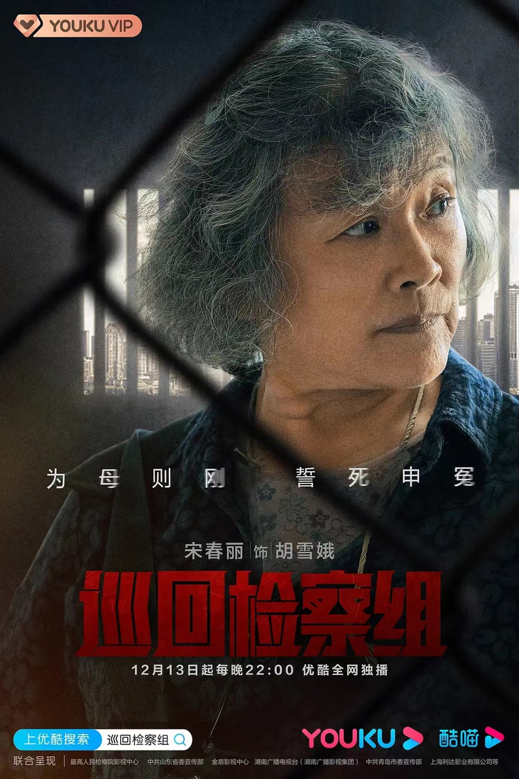 巡回检察组