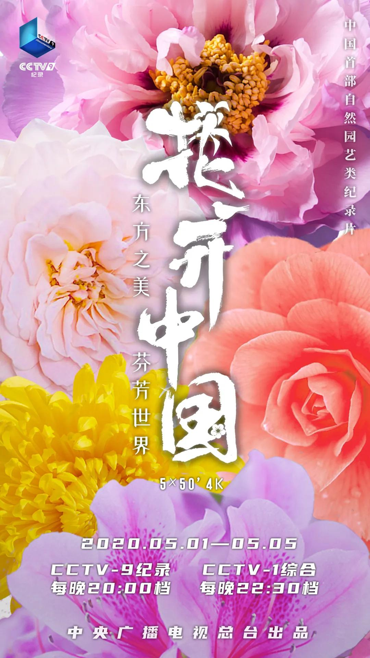 张蕾