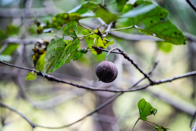 恩施土家族苗族自治州