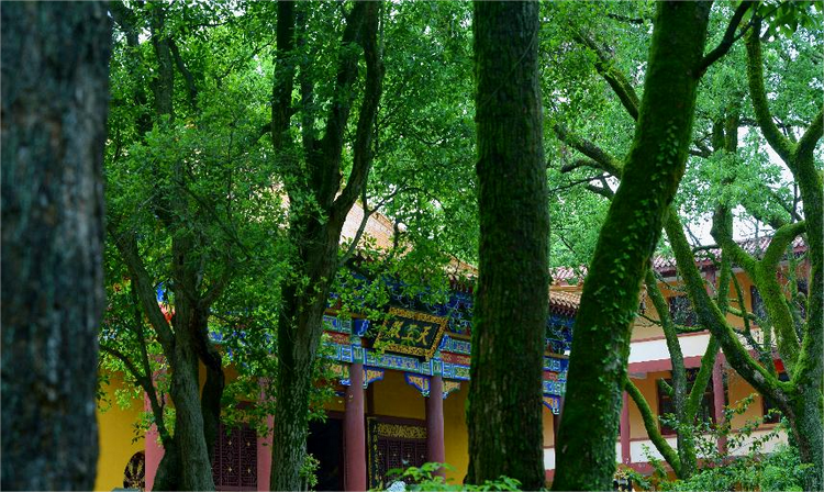 万杉寺.png