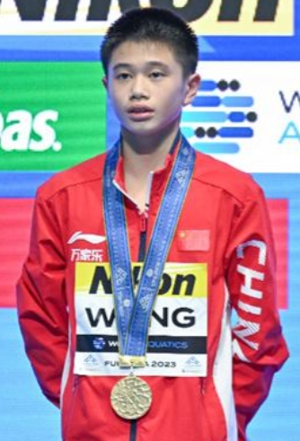 王飞龙