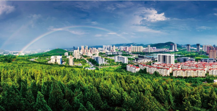 枣庄市