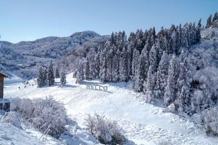 雪.jpg