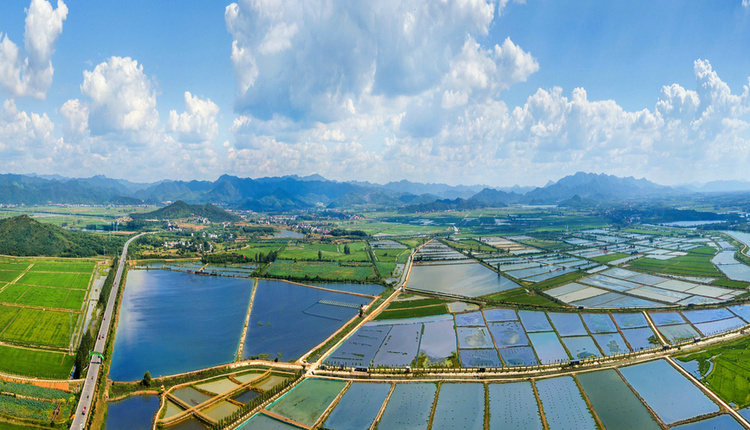 九江市彭泽县凯瑞景区  .png