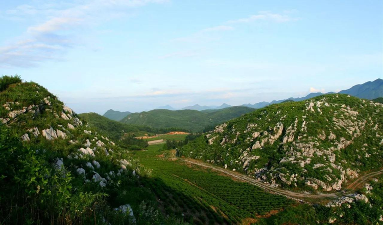 湖南云台山茶旅集团文化有限公司