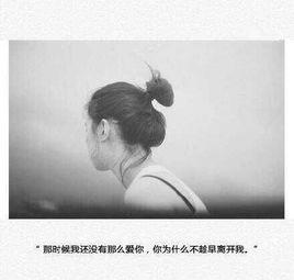 算了吧