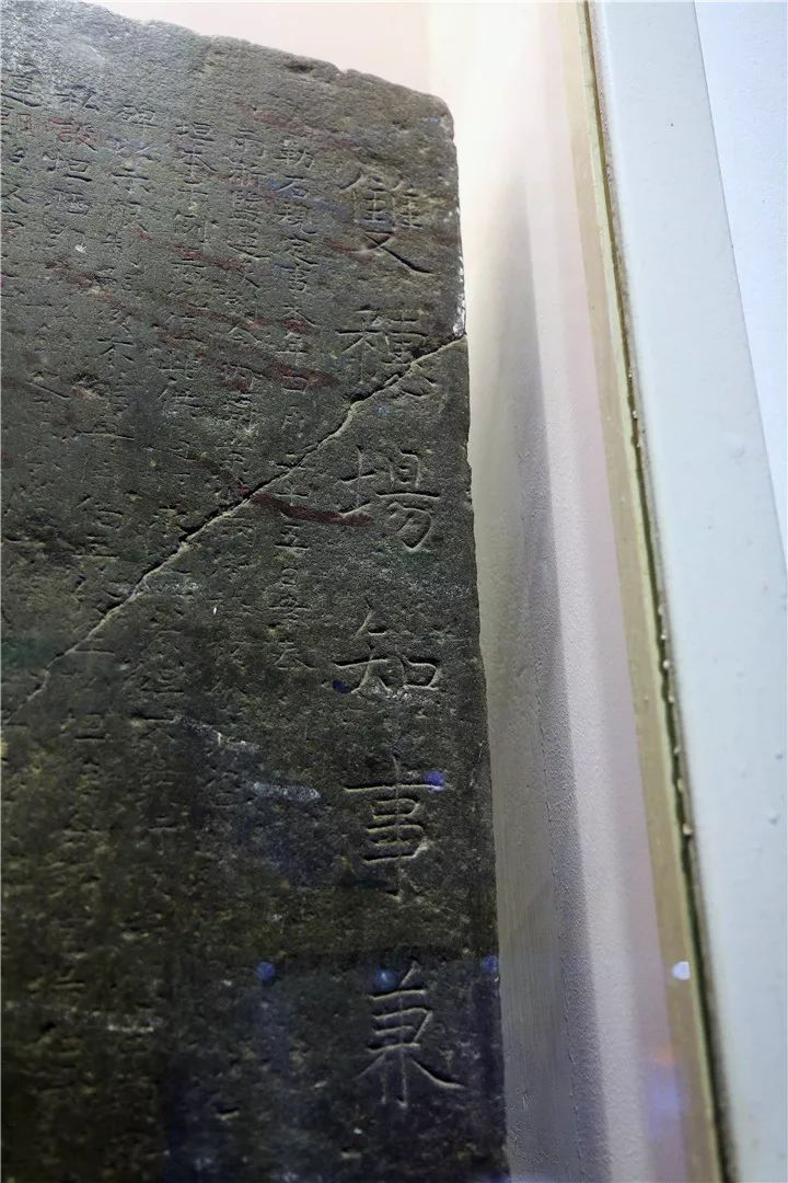 温州龙湾区文博馆
