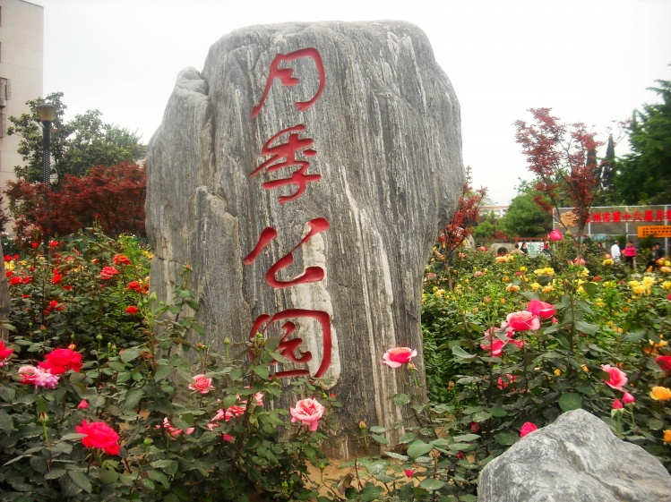 郑州月季公园