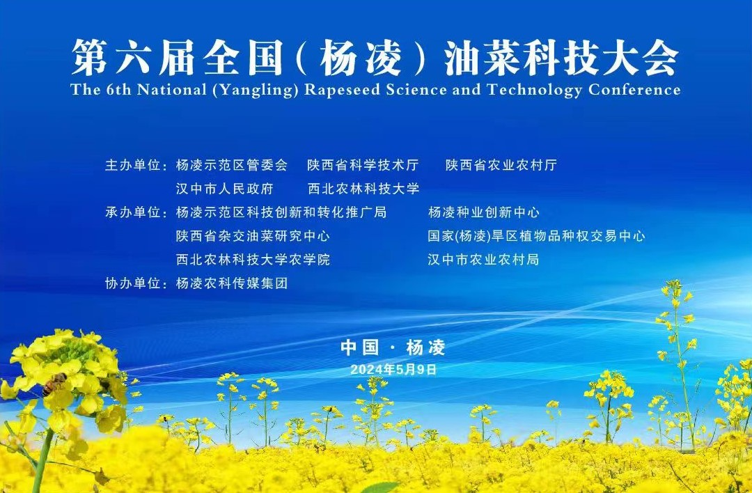 第六届全国（杨凌）油菜科技大会