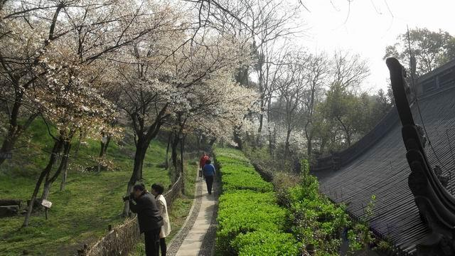 府山