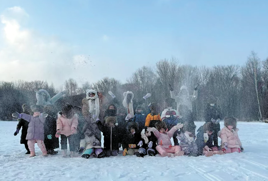 迷你野生菌啥意思