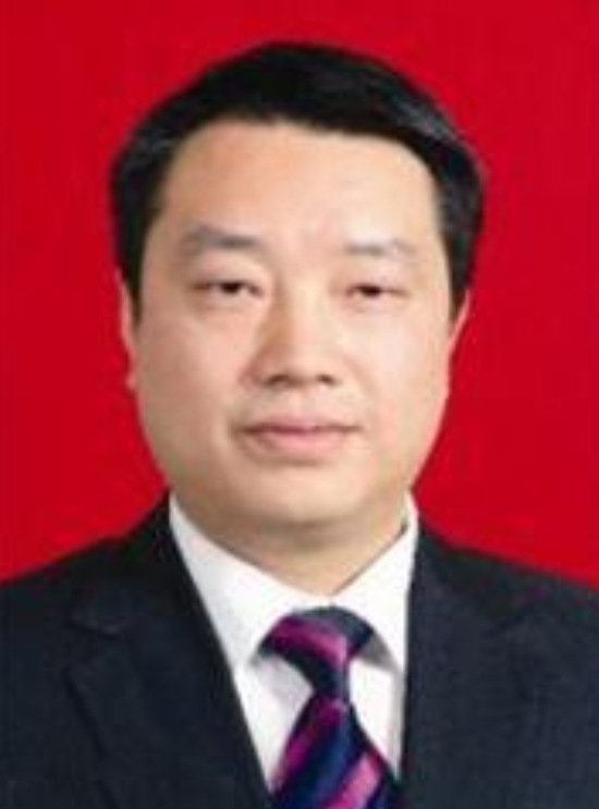 陈新