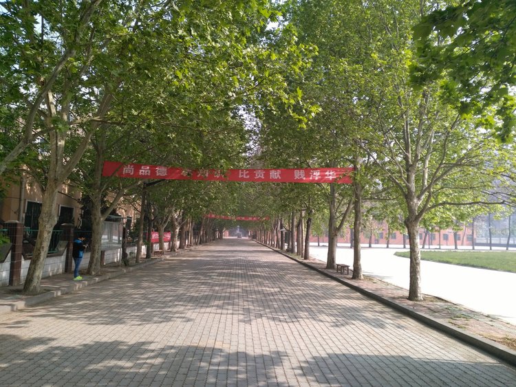郑州澍青医学高等专科学校