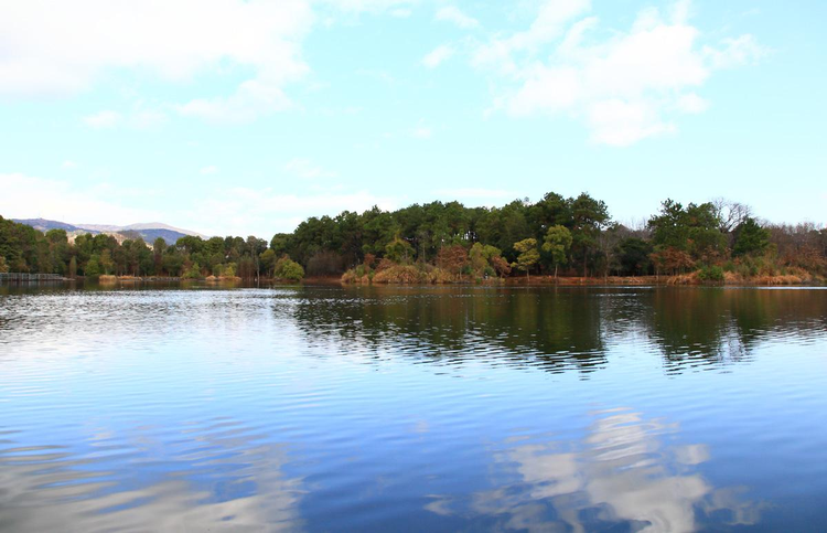 江西省林业科学院