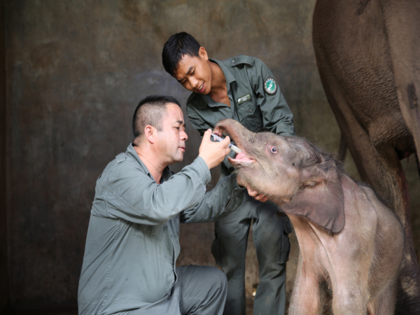 西双版纳傣族自治州